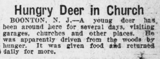 Newspaper clipping: A hungry deer in church